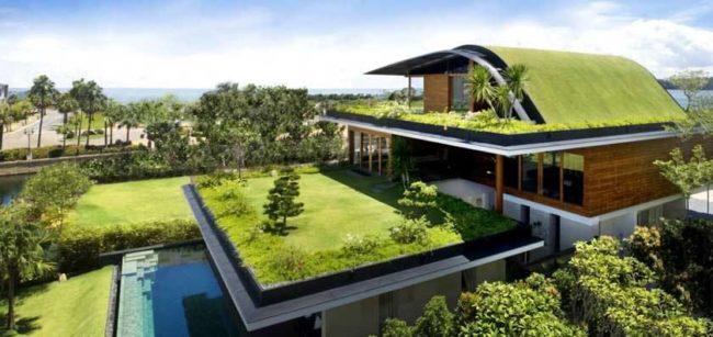 amp-construcao-sustentavel-telhado-verde